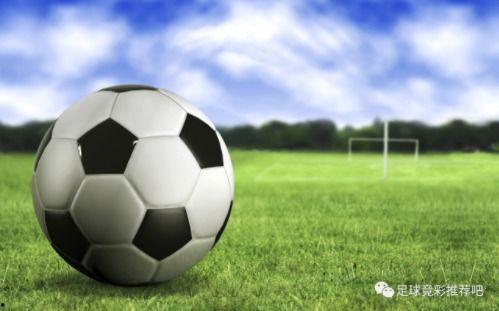 葡萄牙足球爆料视频大全,揭秘爆料视频背后的精彩瞬间